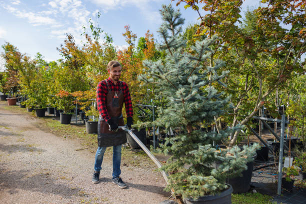 Best Soil Testing and Treatment  in Budd Lake, NJ